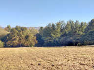 Terrain de 480 m2 lot 17 à vendre au Pont-De-Beauvoisin — photo 3