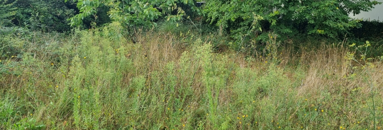 Terrain  747 m² à vendre à La Baule-Escoublac (44500)