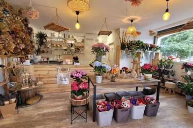 Commerce 1 pièces 87000 €