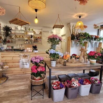 Commerce 1 pièces 87000 €