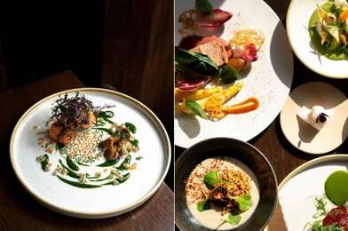 Commerce 2 pièces 249100 €