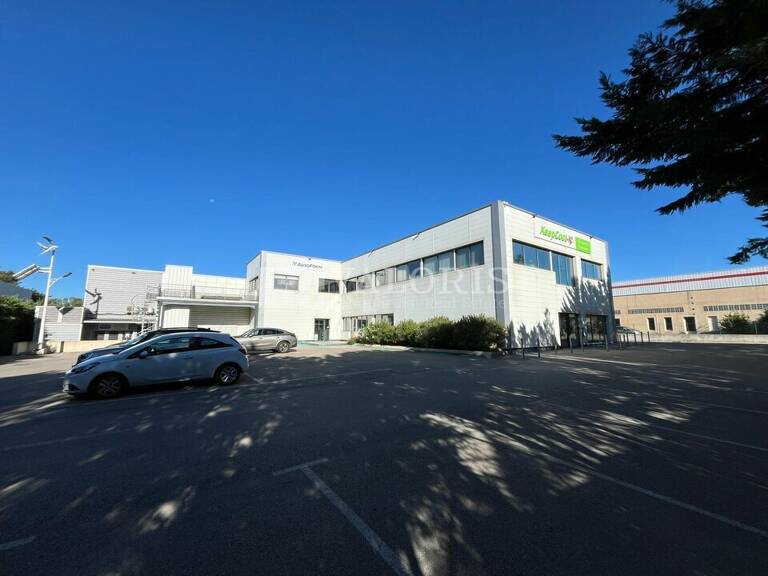 BUREAUX à LOUER — photo 1