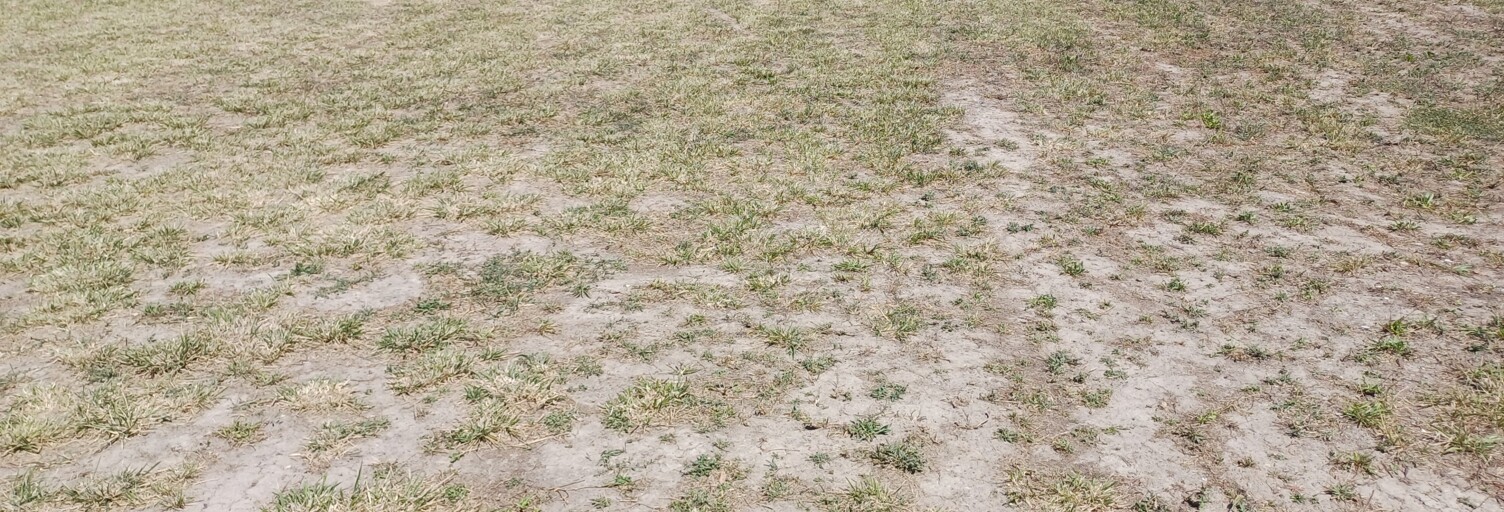 Terrain  1300 m² à vendre à Le Thor (84250)