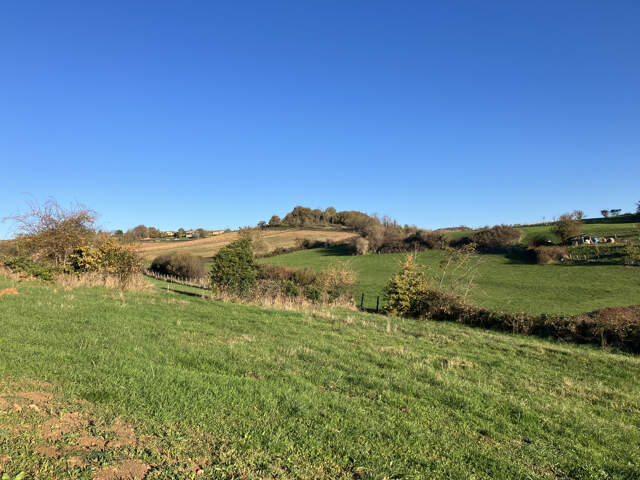 Terrain viabilisé au calme — photo du bien