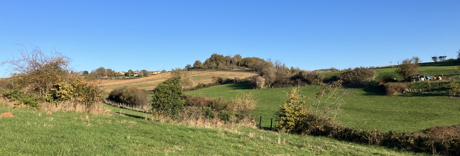 Terrain  758 m² à vendre à Lozanne (69380)