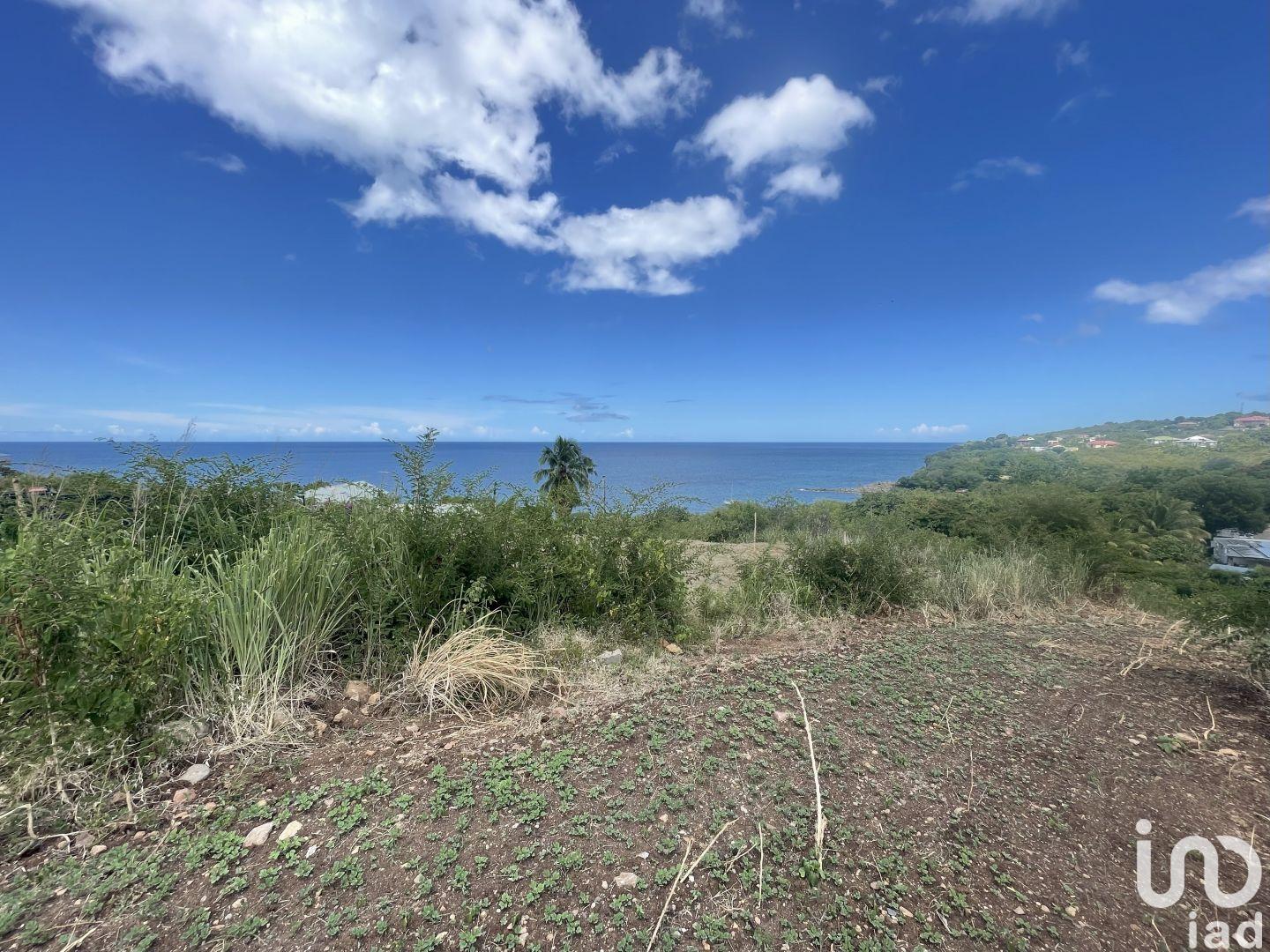 Vieux-Habitants - 1039m²