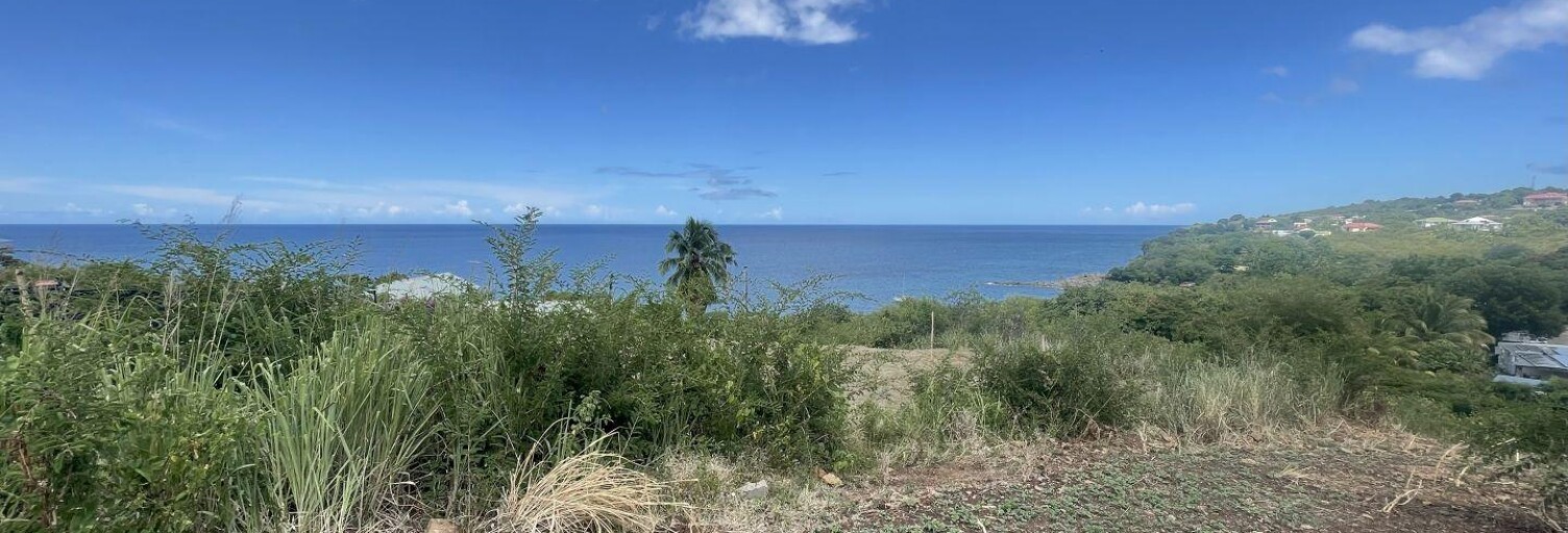 Terrain  1039 m² à vendre à Vieux-Habitants (97119)