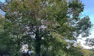 Maison 3 Pièces 84 m² à vendre à Luzarches (95270)