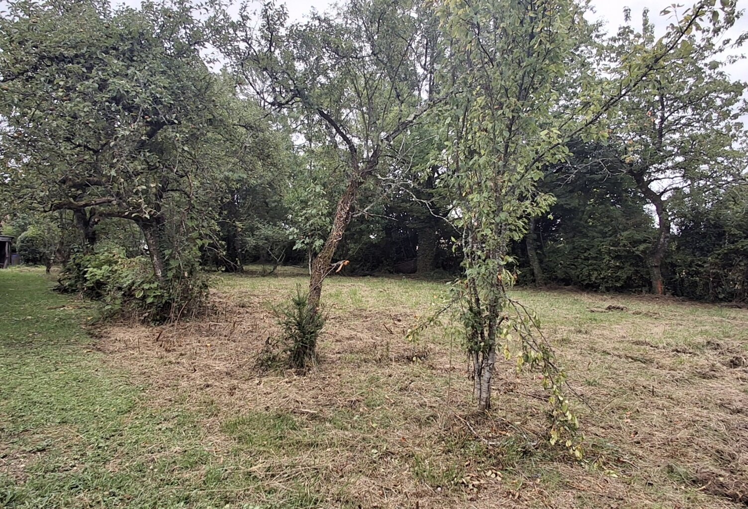 Vente Terrain à bâtir 2 600 m&sup2; — photo 1