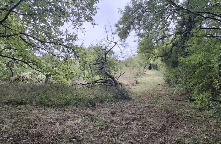 Vente Terrain à bâtir 2 600 m&sup2; — photo 4