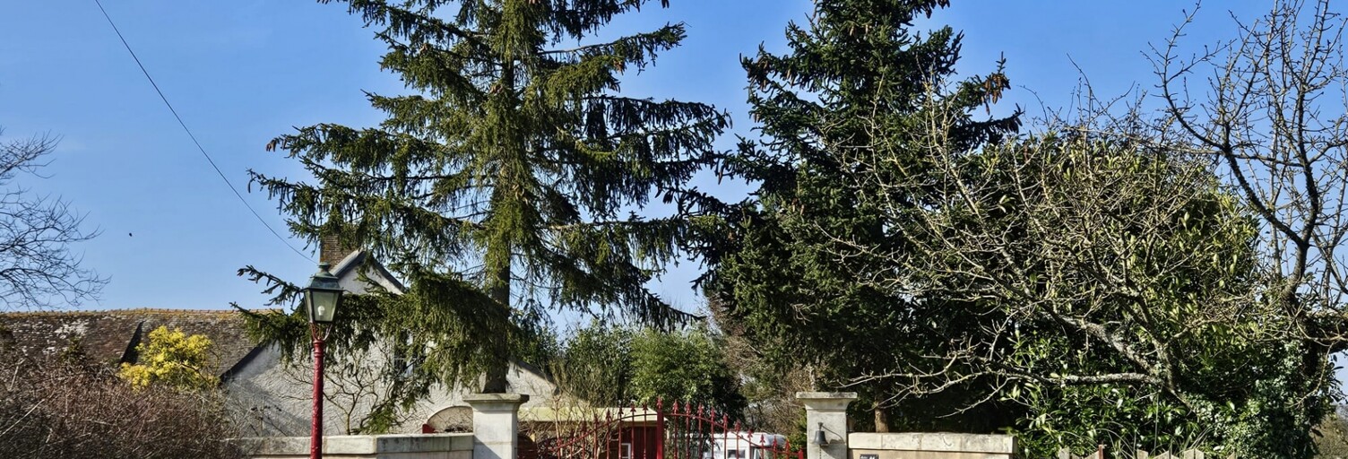 Maison 6 Pièces 160 m² à vendre à Villedieu-le-Château (41800)