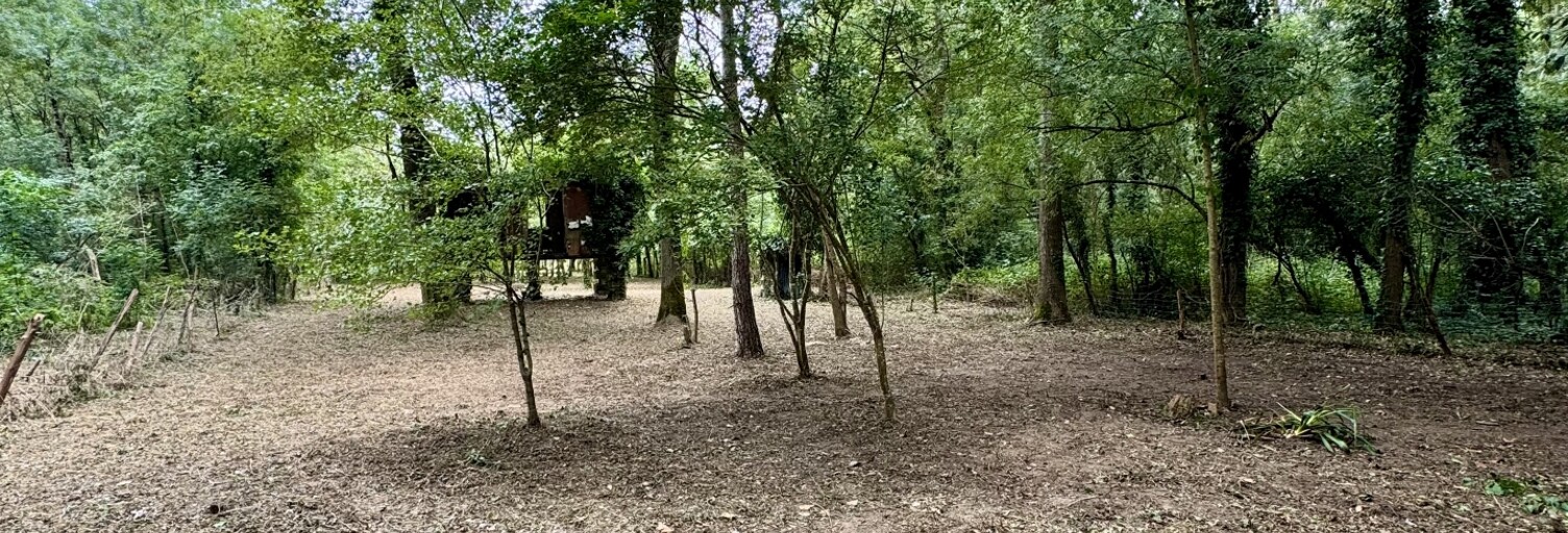 Terrain  1791 m² à vendre à Savigny-en-Véron (37420)