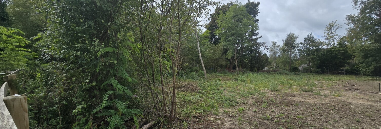 Terrain  1249 m² à vendre à Cellettes (41120)