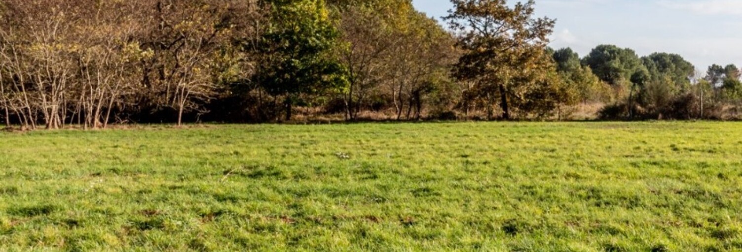 Terrain  3700 m² à vendre à Grignols (33690)