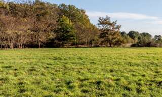 Terrain  3700 m² à vendre à Grignols (33690)