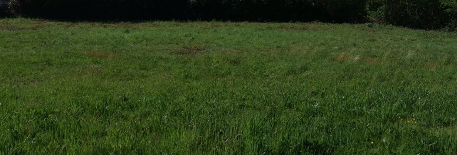 Terrain  1000 m² à vendre à Périgueux (24000)