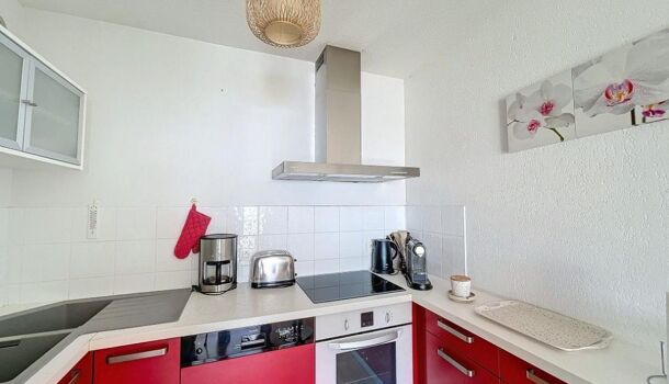 Appartement 2 pièces  à louer Ajaccio 20000