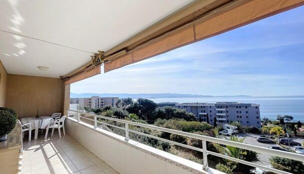 Appartement 2 pièces  à louer Ajaccio 20000