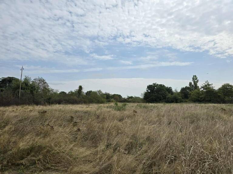 Terrain Agricole à Vendre — photo 1