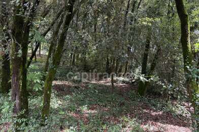 Terrain  89450 €
