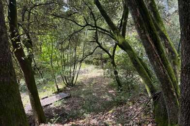 Terrain  89450 €