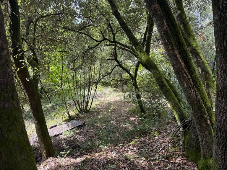 Terrain à bâtir à vendre 1032 m2  CENDRAS (30480) — photo 1