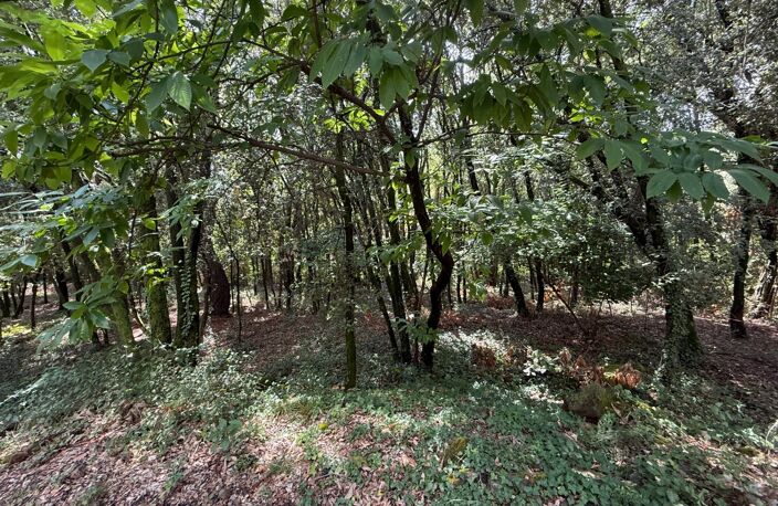 Terrain à bâtir à vendre 1032 m2  CENDRAS (30480) — photo 2