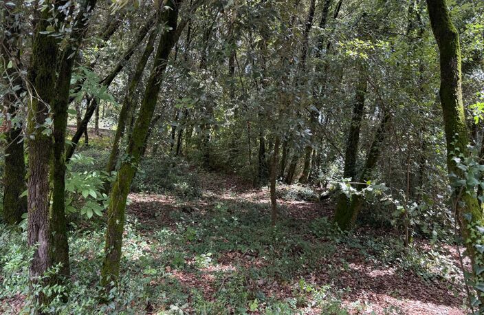 Terrain à bâtir à vendre 1032 m2  CENDRAS (30480) — photo 4