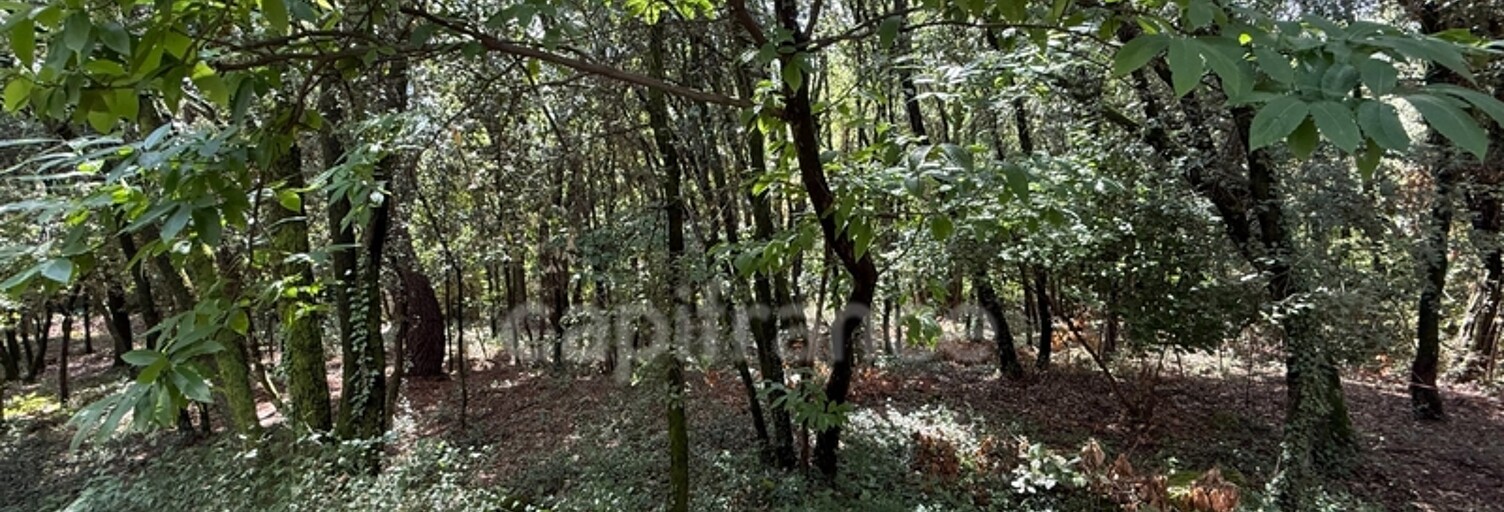 Terrain  799 m² à vendre à Cendras (30480)