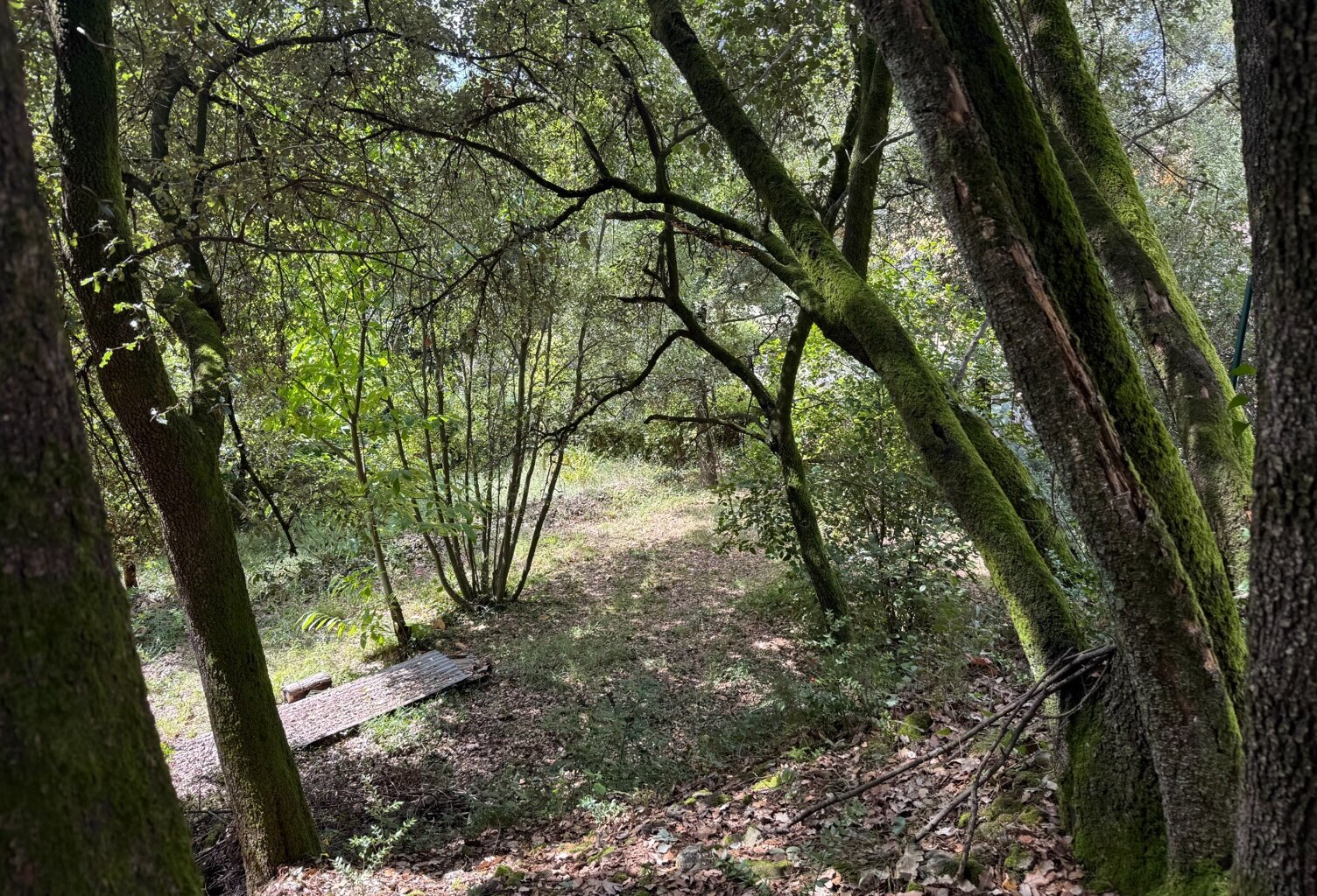 Terrain à bâtir à vendre 799,00 m² CENDRAS (30)proche d'Ales — photo 1