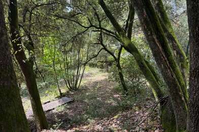 Terrain  75600 €