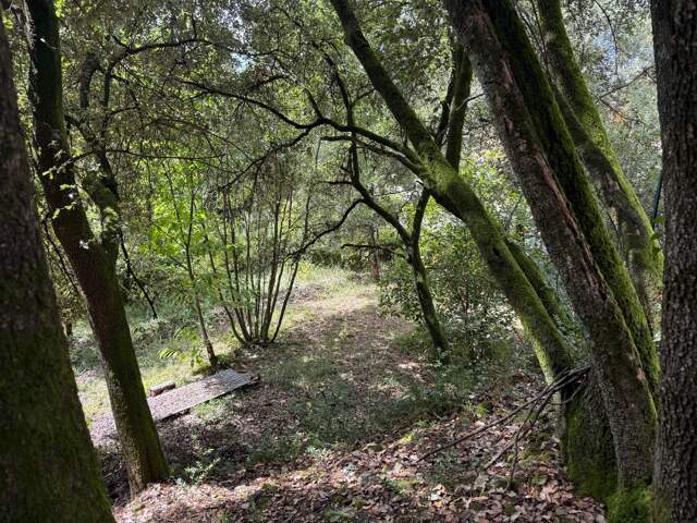 Terrain à bâtir à vendre 799,00 m² CENDRAS (30)proche d'Ales — photo du bien