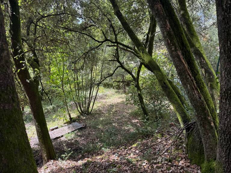 Terrain à bâtir à vendre 799,00 m² CENDRAS (30)proche d'Ales — photo 1