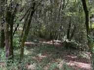 Terrain à bâtir à vendre 799,00 m² CENDRAS (30)proche d'Ales — photo 2