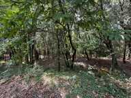 Terrain à bâtir à vendre 799,00 m² CENDRAS (30)proche d'Ales — photo 3