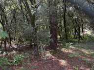 Terrain à bâtir à vendre 799,00 m² CENDRAS (30)proche d'Ales — photo 4