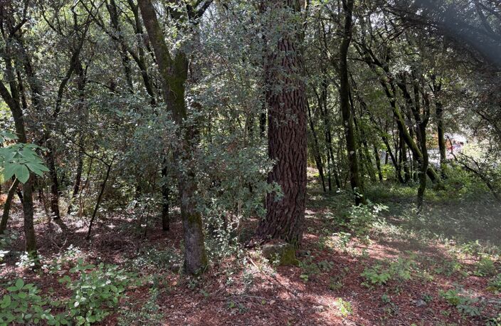 Terrain à bâtir à vendre 799,00 m² CENDRAS (30)proche d'Ales — photo 4