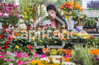 Commerce 2 pièces 132000 €