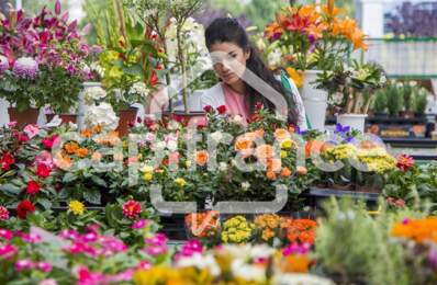 Fonds de commerce à vendre proche de TOULOUSE (31) - Cession d'une boutique de fleurs avec une activité  d'espace vert. EBE: 70 000 euros - coeur de bourg — photo du bien