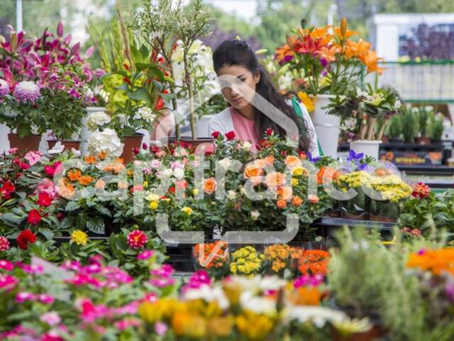 Fonds de commerce à vendre proche de TOULOUSE (31) - Cession d'une boutique de fleurs avec une activité  d'espace vert. EBE: 70 000 euros - coeur de bourg — photo du bien