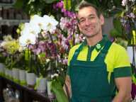Fonds de commerce à vendre proche de TOULOUSE (31) - Cession d'une boutique de fleurs avec une activité  d'espace vert. EBE: 70 000 euros - coeur de bourg — photo 3
