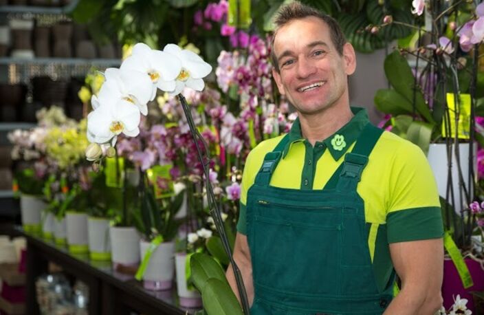 Fonds de commerce à vendre proche de TOULOUSE (31) - Cession d'une boutique de fleurs avec une activité  d'espace vert. EBE: 70 000 euros - coeur de bourg — photo 3