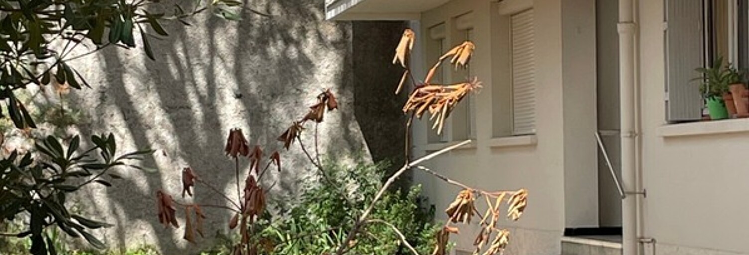 Appartement 3 Pièces 61 m² à vendre à Toulouse (31000)