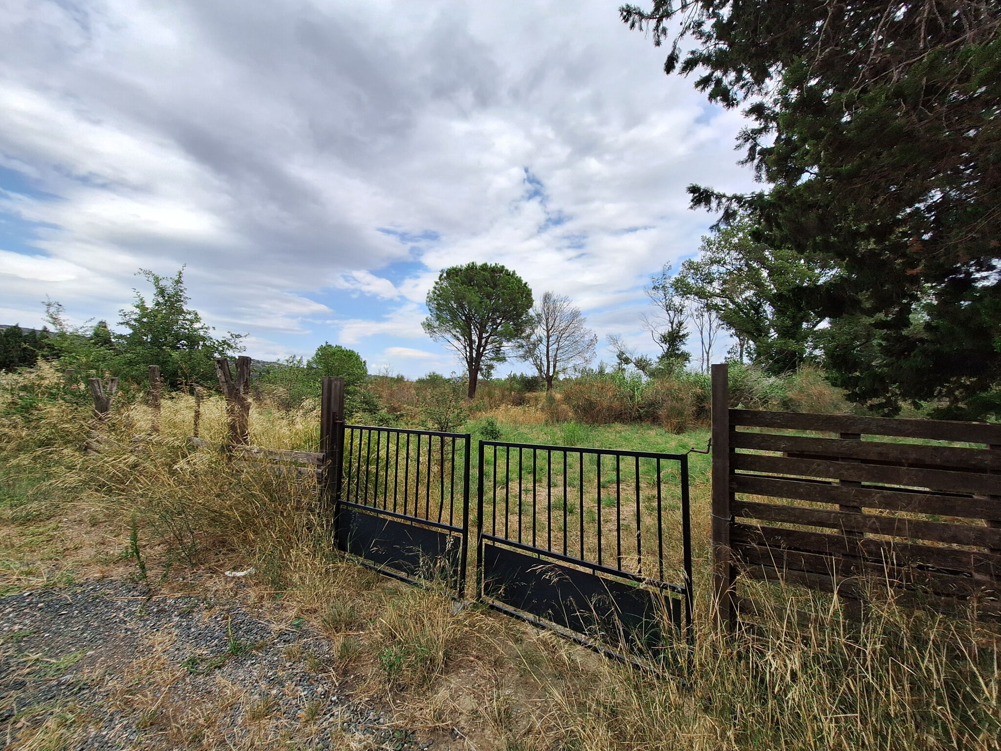 Terrain  à vendre Ille-sur-Têt 66130