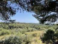 Espace et Nature : Villa avec Vue Panoramique sur les Collines — photo 4