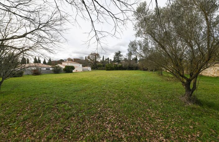 Grand et beau terrain plat constructible — photo 3