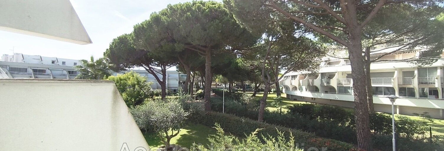 Appartement 1 Pièce 21 m² à vendre à Le Grau-du-Roi (30240)