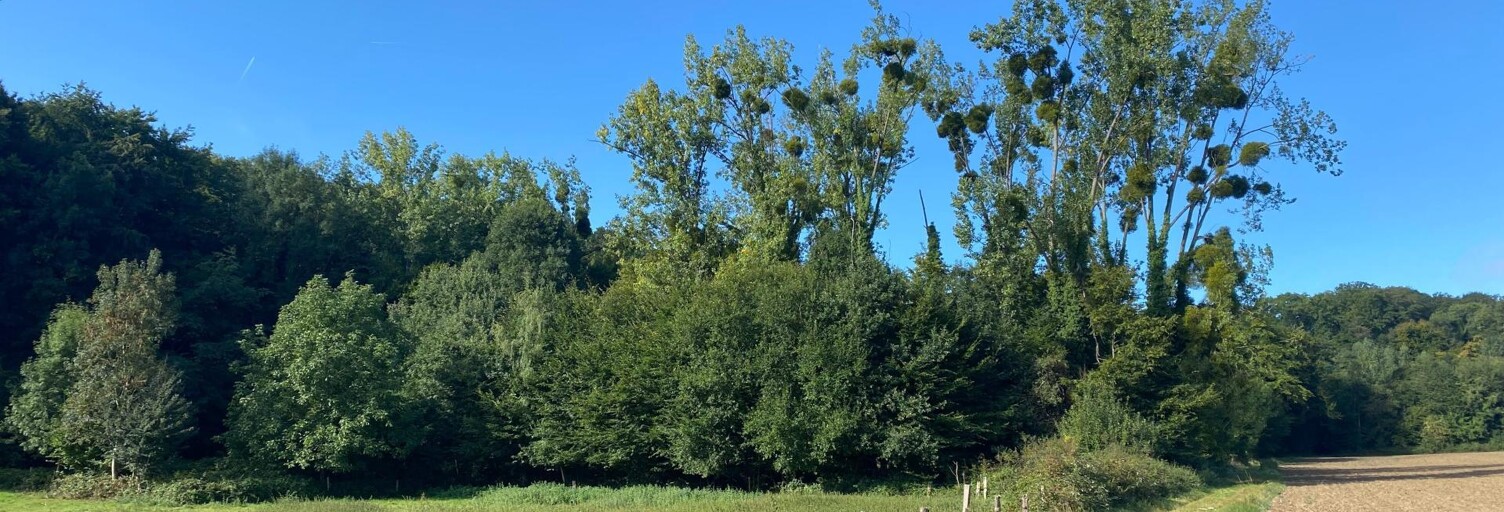 Terrain  1889 m² à vendre à Berthecourt (60370)