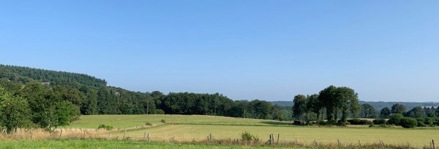 Terrain  2880 m² à vendre à Neuvic-Entier (87130)