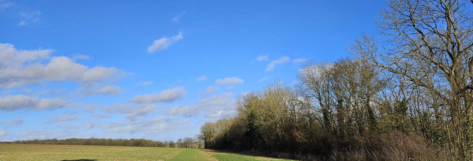 Terrain  2215 m² à vendre à Courcelles-sous-Thoix (80160)